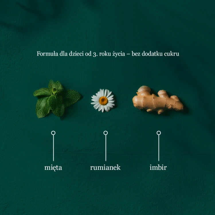 babel_travel2-1-1024x1024.png
